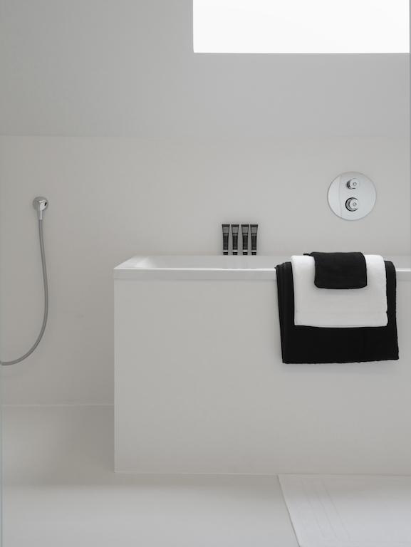 Maison Nationale City Flats & Suites 안트베르펜 객실 사진 A shower bath